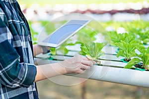 Portrait of young smart farmer using digital tablet computer for inspecting. using technology in agriculture field application in