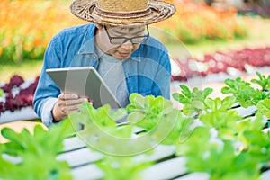 Portrait of young smart farmer using digital tablet computer for inspecting. using technology in agriculture field application in