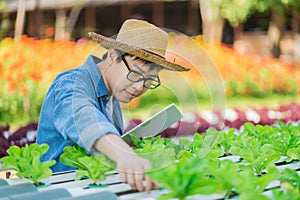 Portrait of young smart farmer using digital tablet computer for inspecting. using technology in agriculture field application in