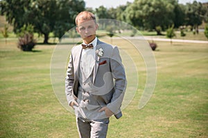 Portrait of a young stylish man in a classic business suit in gray with a white shirt and a bow tie. Young guy