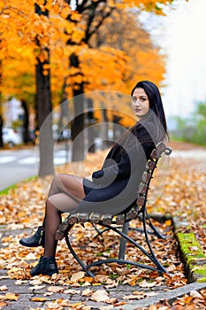 Portrait of a young woman in autumn. She looks at the camera and is sitting on a bench