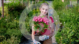 Portrait, young woman gardener holding pink blooming hydrangea in flowerpot in her hands, against background of