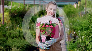 Portrait, young woman gardener holding white blooming hydrangea in flowerpot in her hands, against background of