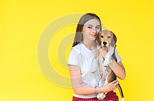 Portrait of young woman holding young red beagle puppy on the yellow background. Copy space