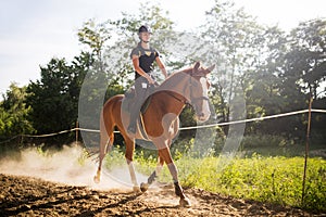 Portrait of young woman riding horse in countryside