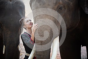 Portrait Of Young Woman Standing By Elephant In Forest