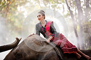 Portrait Of Young Woman Standing By Elephant In Forest