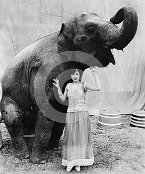 Portrait of a young woman standing under an elephant photo