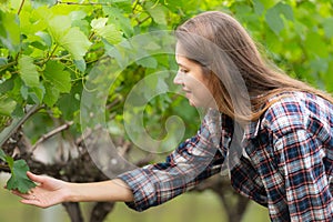 Portrait of a young woman in the vineyard