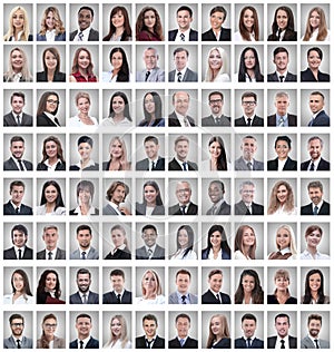 Portraits of a group of successful employees isolated on white