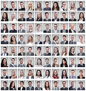 Portraits of a group of successful employees isolated on white