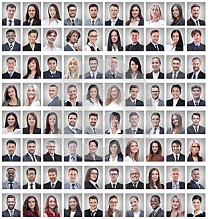 Portraits of a group of successful employees isolated on white