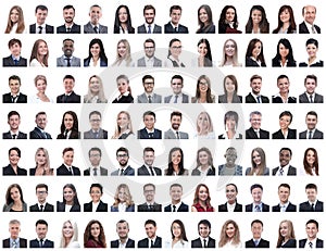 Portraits of successful employees isolated on a white