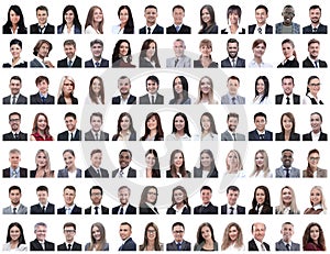 Portraits of successful employees isolated on a white