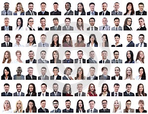 Portraits of successful employees isolated on a white