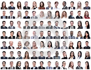 Portraits of successful employees isolated on a white