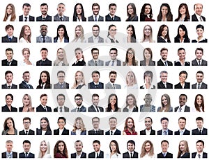 Portraits of successful employees isolated on a white photo
