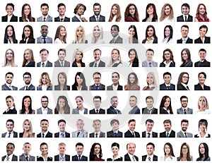 Portraits of successful employees on a white