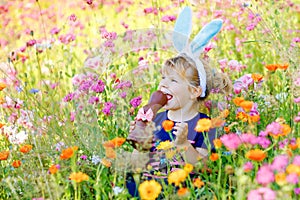 Portriat of adorable, charming toddler girl with Easter bunny ears eating chocolate bunny figure in flowers meadow