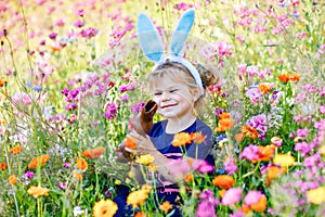 Portriat of adorable, charming toddler girl with Easter bunny ears eating chocolate bunny figure in flowers meadow