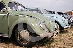 A row of old volkswagen or VW beetle cars