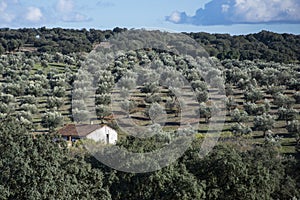 PORTUGAL ALENTEJO AVIS photo