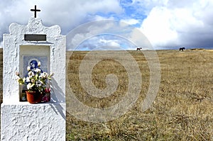 Portugal, Alentejo: Landscape with horses