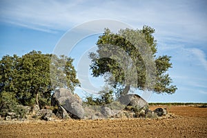 PORTUGAL ALENTEJO REGUENGOS photo