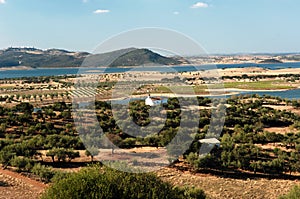 Portugal; alentejo; Typical landscape photo