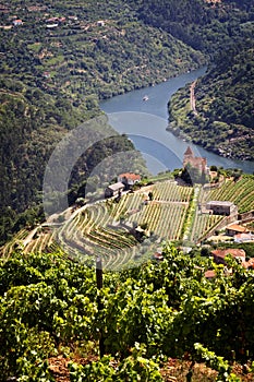 Portugal: Douro river valley