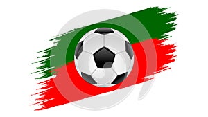 Portugal football soccer vector and Portugal flag colors grunge vector image