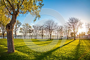 Portugal, Lisbon, the Tagus River Embankment. Sunset on the lawn with green grass among the trees.