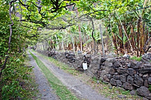 Portugal, Madeira, Faja dos Padres photo