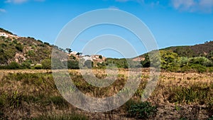 Portugal - Meadow in the country