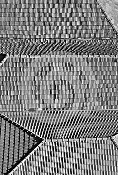 Portugal. Porto city. Old historical part of Porto. Roofs. In bl