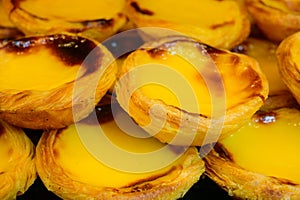 Portugal`s traditional sweet dessert Pastel de nata egg custard tart pastry served with view on display in bakery, Lisbon area,