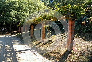 Portugal, Sintra, Parques de Sintra da Monte da Lua S.A., nature in the park photo