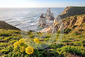 Portugal Ursa Beach at atlantic coast of Atlantic Ocean with rocks