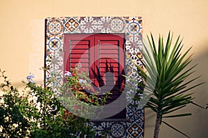 Portugal window. Costa de Caparica Almada. Authentic. Yellow wall. Palm. Janela de Portugal. Parede amarelo. Light and shadow.