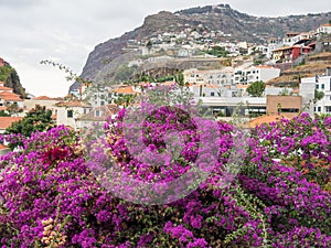 The portugese island of madeira