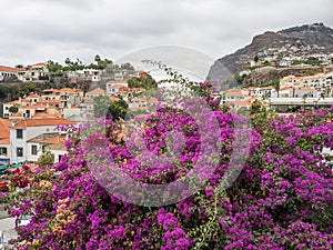 The portugese island of madeira