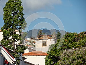 The portugese island of madeira