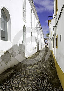 Portuguese Alentejo city of Ã‰vora old town.