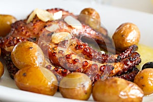 Portuguese dish octopus with potato photo