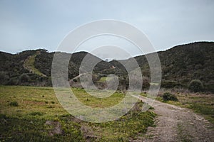 Portuguese landscape in the rainy season in the southwest of the country, in the Algarve region. An equatorial green landscape.