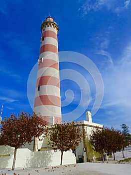 Portuguese Lighthouse