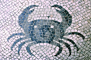 Portuguese Macau Mosaic Arts Craftsmanship Marine life Crab Macao Mosaico Cobblestone Street Cultural Heritage Architecture photo