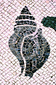 Portuguese Macau Mosaic Arts Craftsmanship Marine life Shellfish Macao Mosaico Cobblestone Street Cultural Heritage Architecture photo