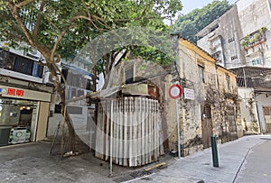 Portuguese Macau Nature Outdoor Narrow Street Alley Macao Starfruit Tree Green Lifestyle Old House Yellow Fruit Trees Blossom