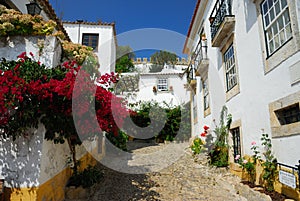 Portuguese narrow street